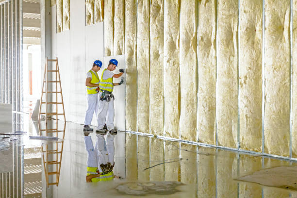 Best Insulation Installation Services in Iron Mountain, MI